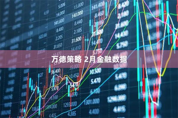 万德策略 2月金融数据