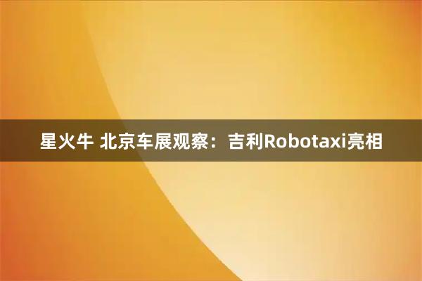 星火牛 北京车展观察：吉利Robotaxi亮相