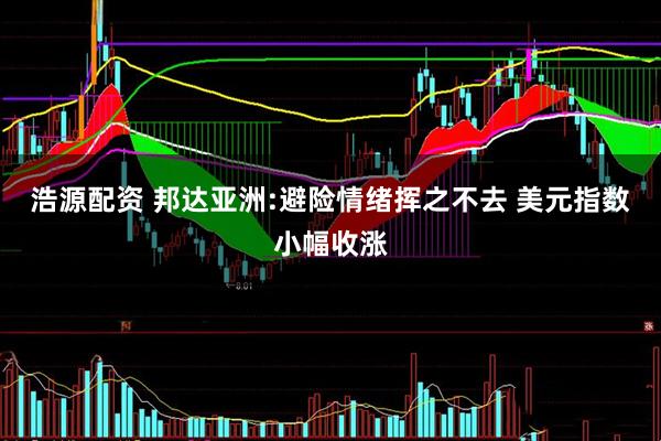 浩源配资 邦达亚洲:避险情绪挥之不去 美元指数小幅收涨