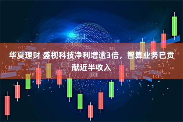 华夏理财 盛视科技净利增逾3倍，智算业务已贡献近半收入
