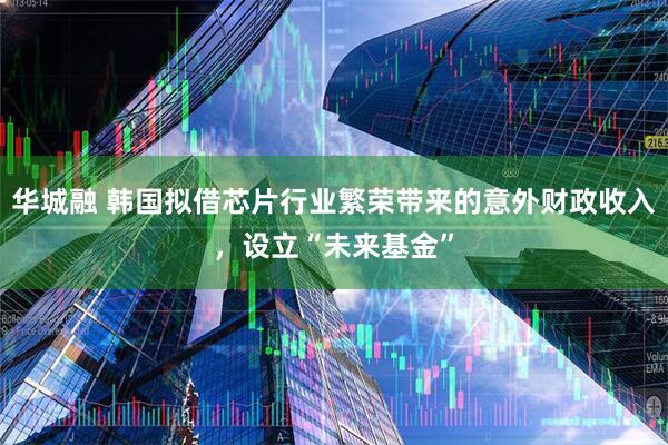 华城融 韩国拟借芯片行业繁荣带来的意外财政收入，设立“未来基金”
